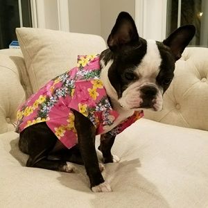 Meet your Posher, Seiko